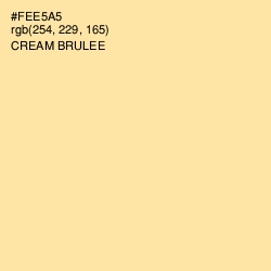 #FEE5A5 - Cream Brulee Color Image